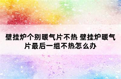 壁挂炉个别暖气片不热 壁挂炉暖气片最后一组不热怎么办